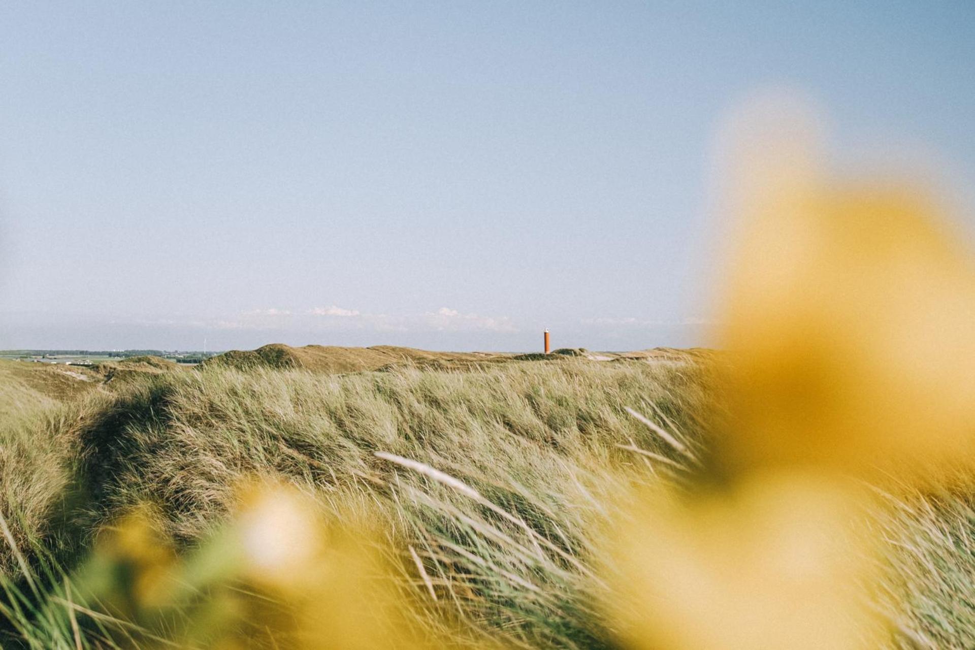 De Duintuin - In De Duinen, Groote Keeten Aan Zee Callantsoog Luaran gambar